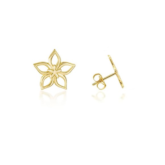 14K Solid Gold Small Star Flower Stud Earrings